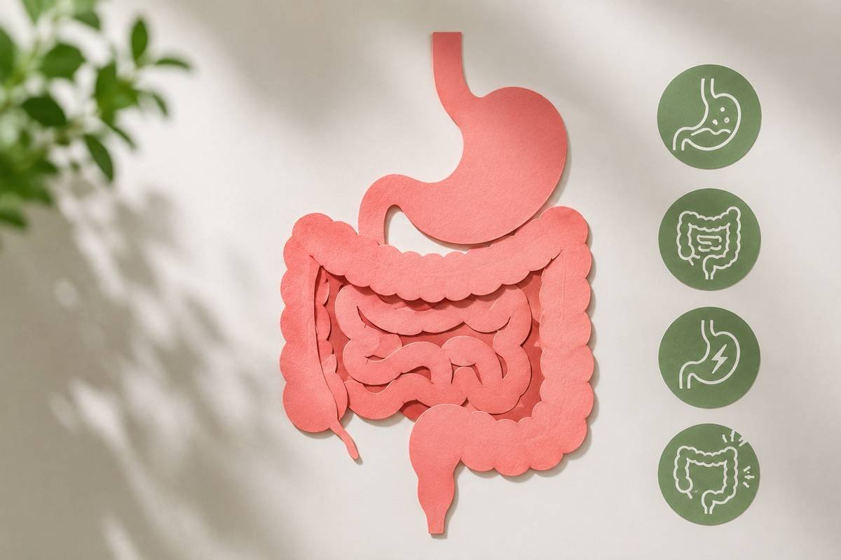 Digestiva